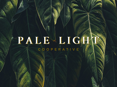 Pale Light Cooperative Brand Logo brand branding layered logo mark shadow vintage