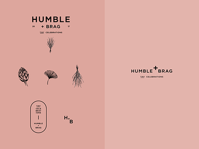 Hubble + Brag Brand Assets assets branding icons illustration logo