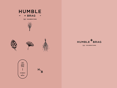 Hubble + Brag Brand Assets