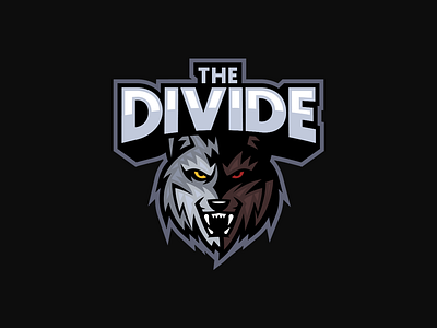 The Divide