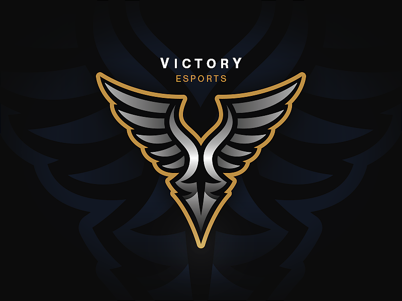 Bestall victory au918 отзывы. Team Victory. Victory Group логотип. 24 Esports. Victory Team class-1.