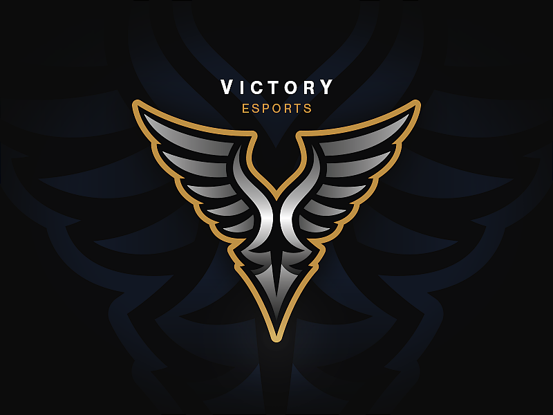 Victory group отзывы. Esports Victory. Логотип Victory Team. Dick КС го. Лого Team khalifa.