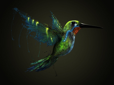 Hummingbird 3d bird hummingbird illustration photoshop render vray