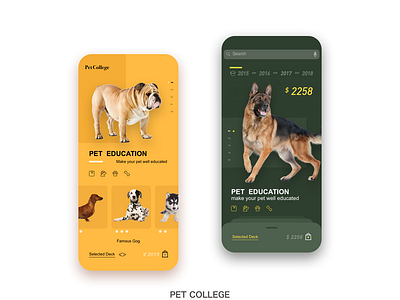 Pet College app graphic design illustration ui ux