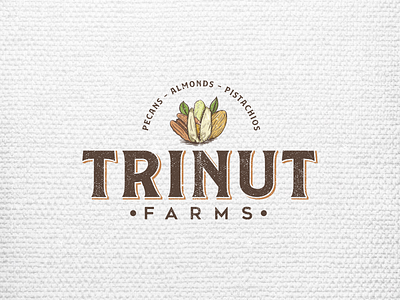Trinnut Logo Concept almond been bussines classic company logo nute peanut retro vintage