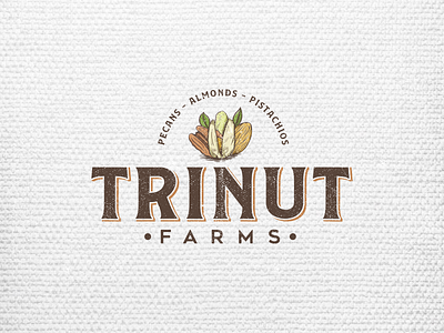 Trinnut Logo Concept