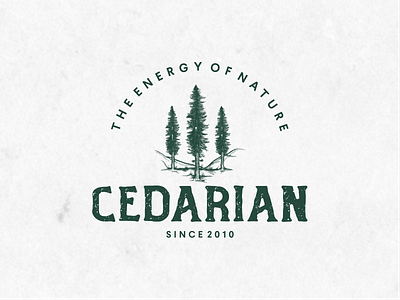 Classic Logo Of Cedar art deco badge cedar classic illustration logo pine pine tree retro vintage