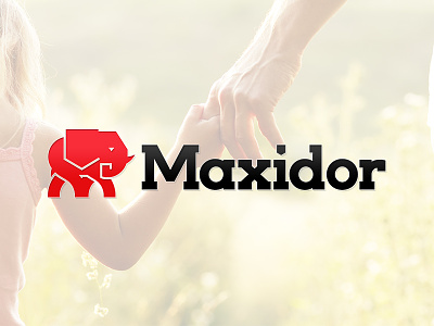Maxidor Rebrand