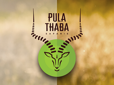 Pula Thaba Safaris africa african breed buck design green horns hunt impala logo safari