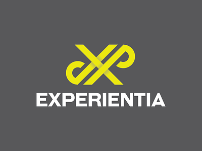 Experientia experience grey logo x yellow