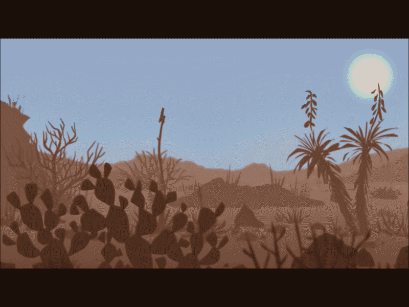 The Desert at Night 2d animation animation botanical illustration botany cactus plantlife