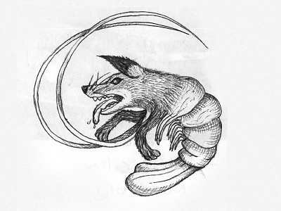 Camaron Zorro camaron fox illustration mutant shrimp sketch zorro