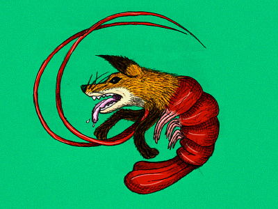 Camaron Zorro 2 camaron fox handmade illustration mutant shrimp zorro