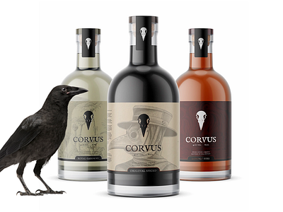 Corvus: Product Design alcohol black bottle bottle design bottle label bottles branded branding corvus crow design flavoured liqueur liquor packaging product rum spirits whiskey whisky