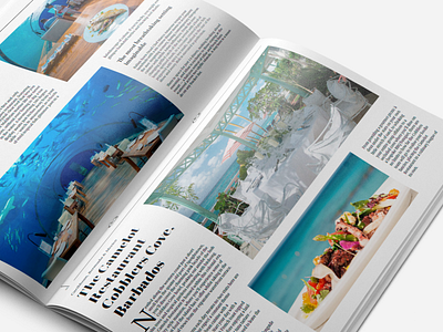 Carrier: Travel Guides book brand branding brochure design double editorial guide guidebook guides page pages print printed spread travel traveling travelling