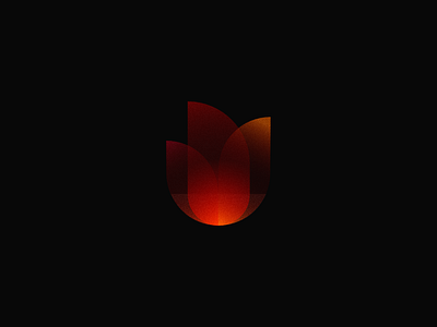 Fire affinity affinitydesigner camp fire campfire fire gradient illustration