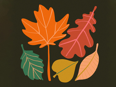 Autumn leaves art autumn design drawing earth fall flowers foliage illustration leah schmidt leahschm leahschmidt leaves nature procreate tree