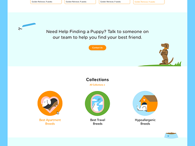 Puppyspot website design + illustration - Collections