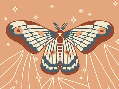 Mothy art butterfly color design illustration line line drawing moth nature vector
