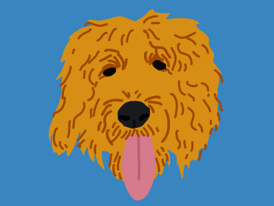 Hugo dog doodle golden goldendoodle graphic illustration portrait