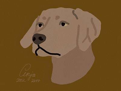 Anja dog hund illustration portrait weimaraner weimy