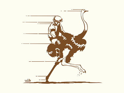 Ostrich run