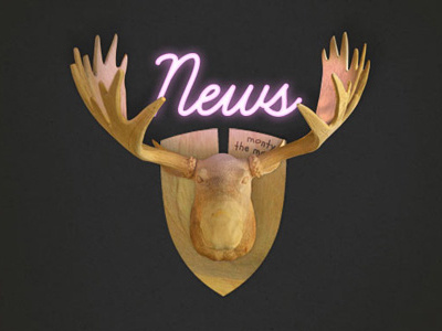 Collective Moose design illustration moose photoshop