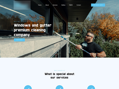 Premium cleaning homepage