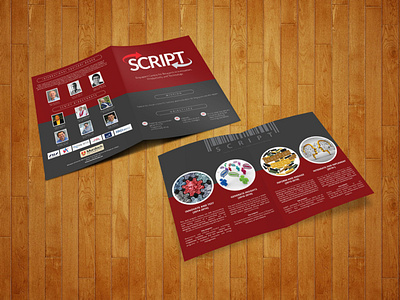 Brochure design for Script bi fold brochure brochure design flyerdesign graphicdesign illustrator logo