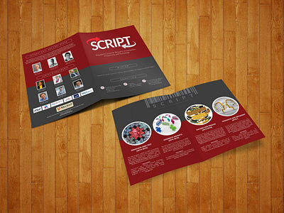 Brochure design for Script