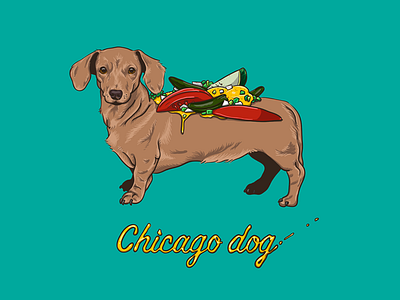 Chicago Dog chicago hot dog illustration
