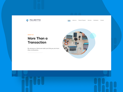 Palmetto Payment Solutions