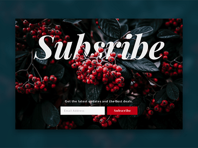 Daily UI 026 - Subscribe berries button dailyui design floral sketch subscribe typography ui ux
