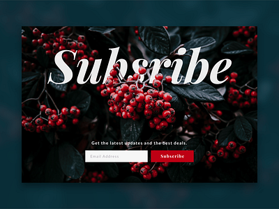 Daily UI 026 - Subscribe