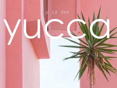 Y is for Yucca architecture design green layout personal project pink plants practice snapshot typography