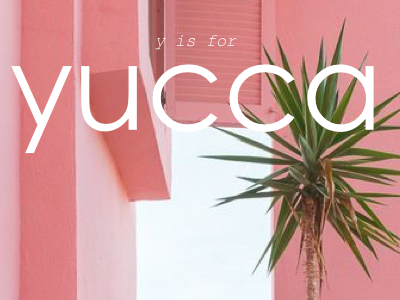 Y is for Yucca