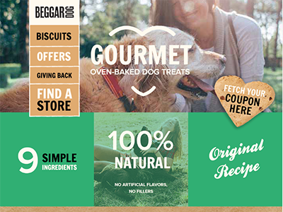 Original Concept for Dog Treat Site