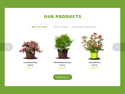 Product Slider ecommerce plants products slide slider taproot creative ui web website