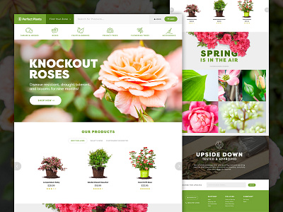 Perfect Plants Homepage ecommerce homepage icons interface isolated plants taproot creative ui web website