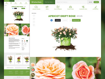 Perfect Plants Product Page