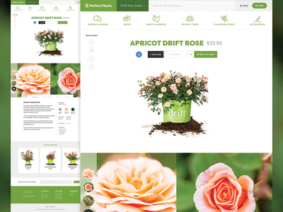Perfect Plants Product Page ecommerce gallery icons interface isolated plants products ui web website
