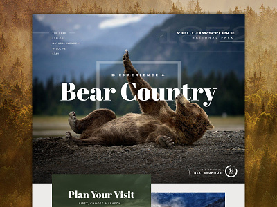 Yellowstone NP Preview bear header hero homepage interface park preview travel ui website yellowstone