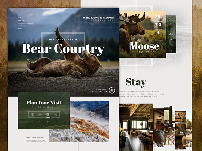 Yellowstone NP Full bear header hero interface nature one pager park slider travel ui website yellowstone
