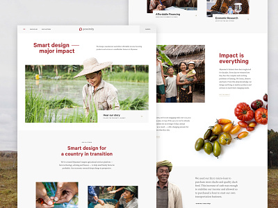 Proximity Designs Homepage charity farming global homepage interface layout myanmar ui website