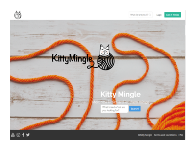 Kittymingle cats design landing page social media ui web graphic art