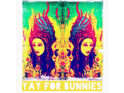 Yayforbunnies art bunnies design graphic art illustration