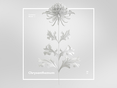 Common Room 2017 - Chryzanthemum 3d abstract bożka corona renderer flower graphic design minimal organic rydlewska sculpture vr white