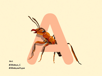 Ant - 36DaysofType 36daysoftype alphabet ant ants design digital painting graphic design illustration insects lettering pratikartz typography