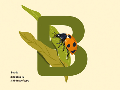 Beetle - 36 Days Of Type 36daysoftype beetle bug digital painting graphic design green illustration insect lettering orange pratikartz typography