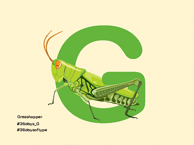 Grasshopper - 36days Of Type 36daysoftype alphabets design digital painting g grasshopper green illustration insect pratikartz typography